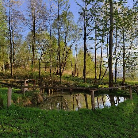 Agroturystyka Zielona Dolinka Stryszow Esterno foto