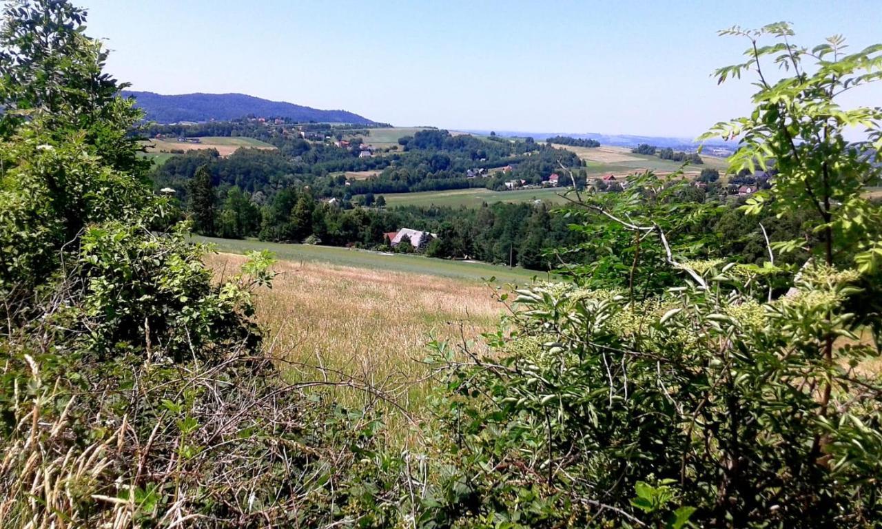 Agroturystyka Zielona Dolinka Stryszow Esterno foto