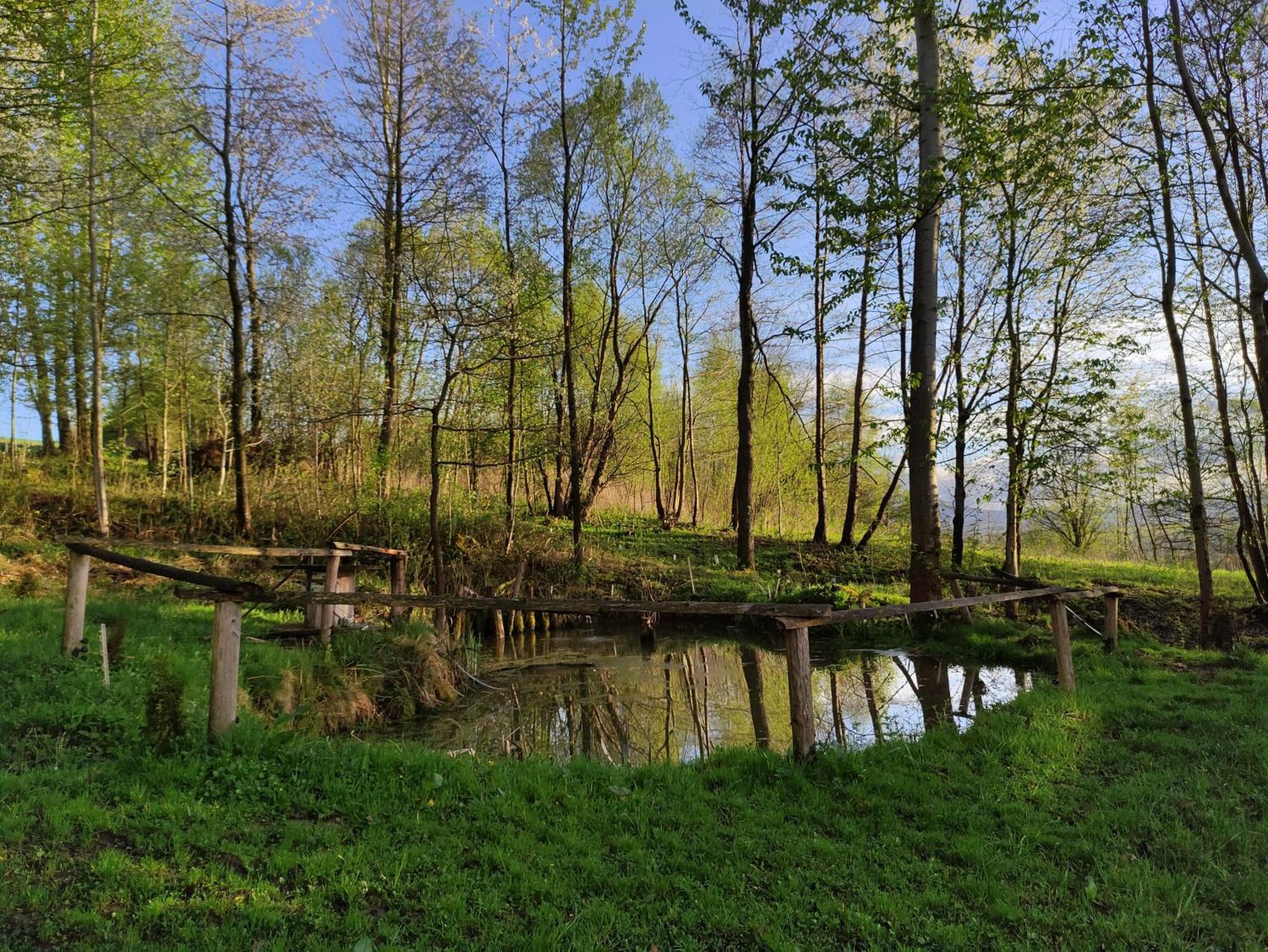 Agroturystyka Zielona Dolinka Stryszow Esterno foto